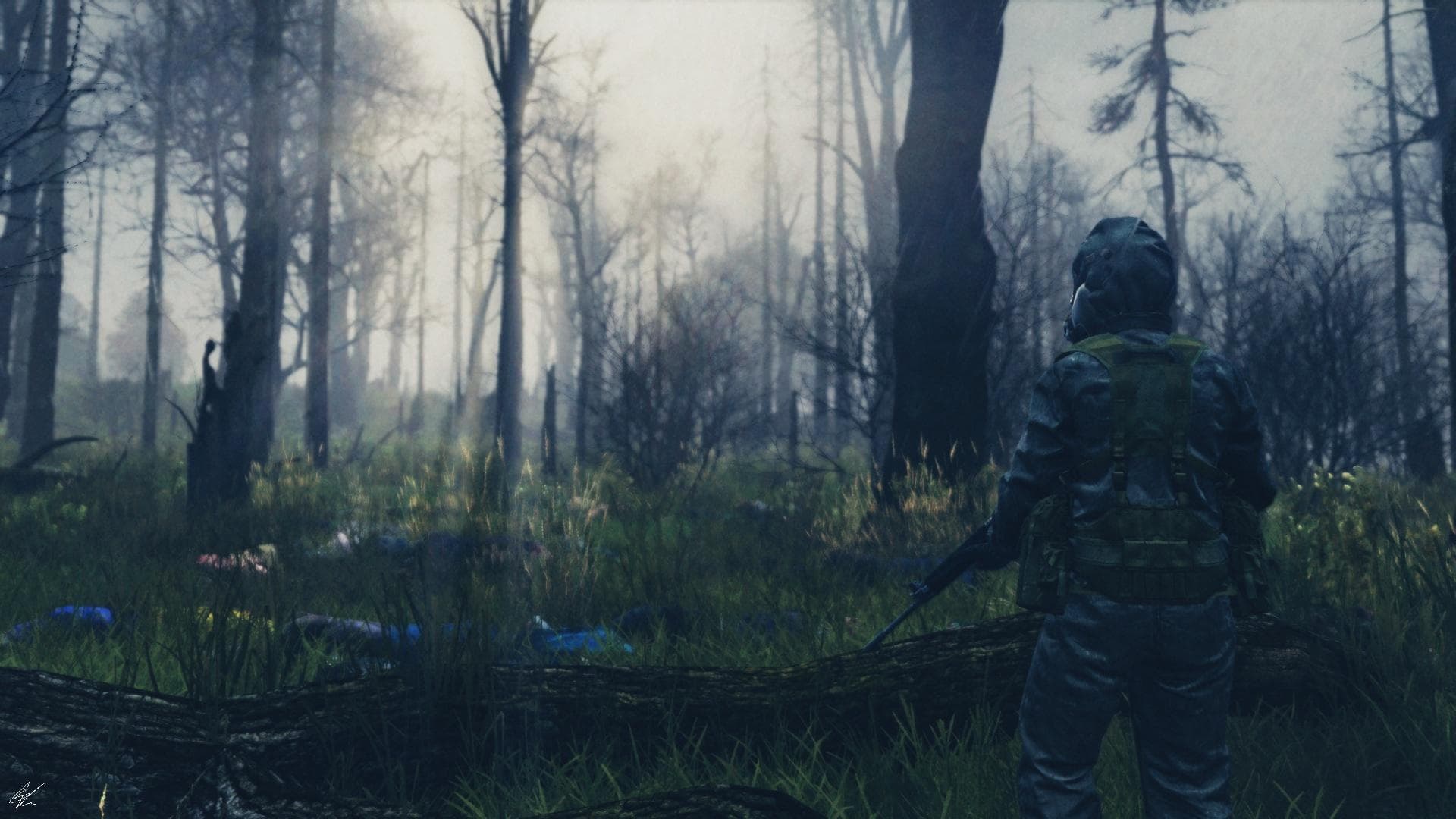 DayZ banner