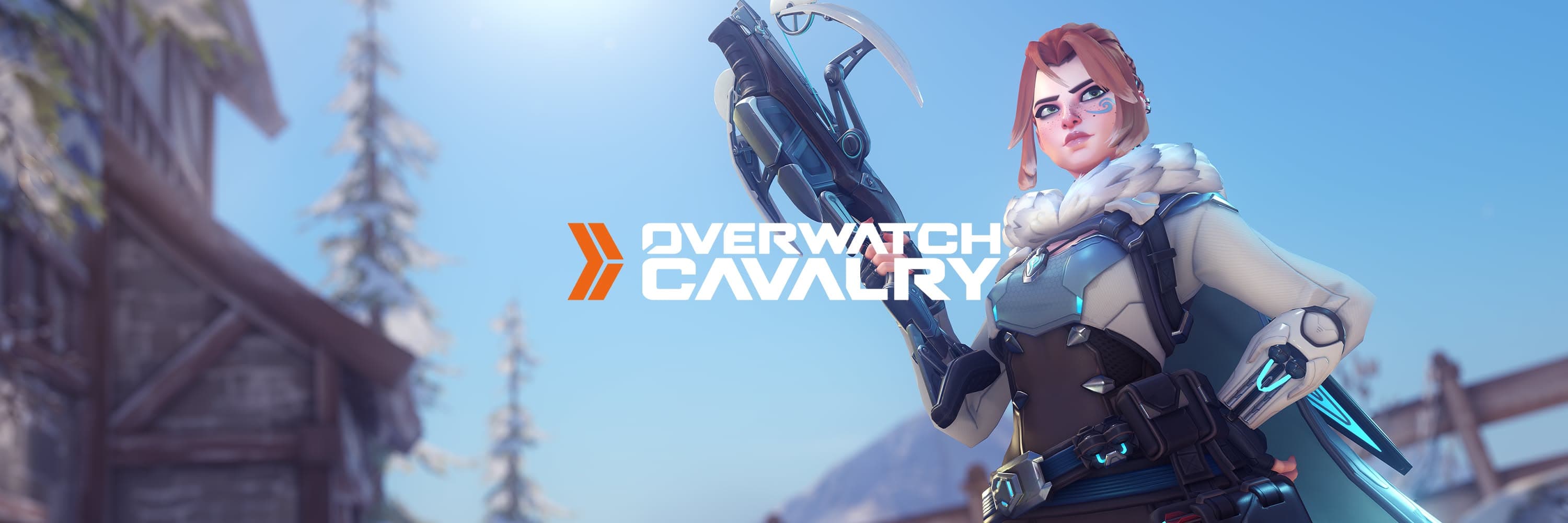 Overwatch 2 banner